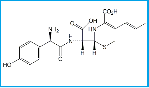 CEFPROZIL EP IMPURITY I  